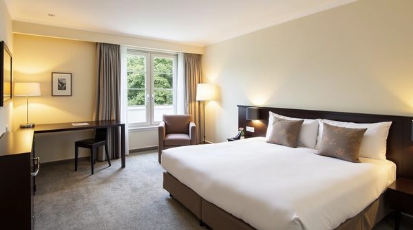 Chambres spacieuses proche du zoo de Beauval : le guide pour un séjour inoubliable