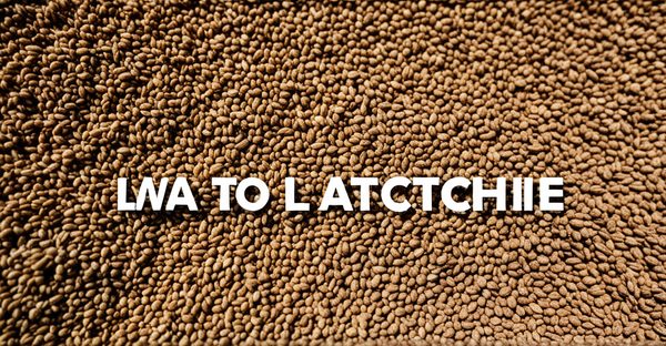 Que faire à la flèche : attractions et activités à découvrir